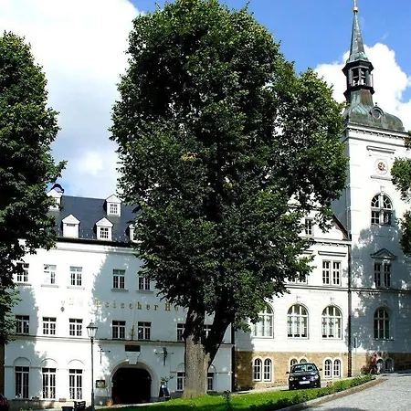 Saechsischer Hof 4*